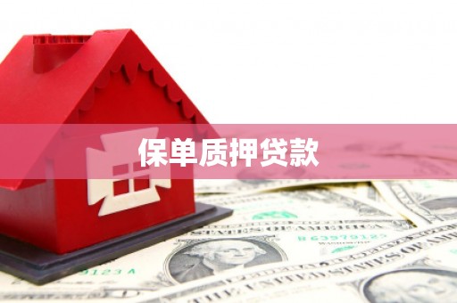 吉县保单质押贷款