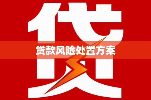 吉县贷款风险处置方案