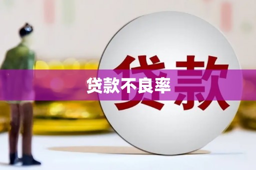 吉县贷款不良率