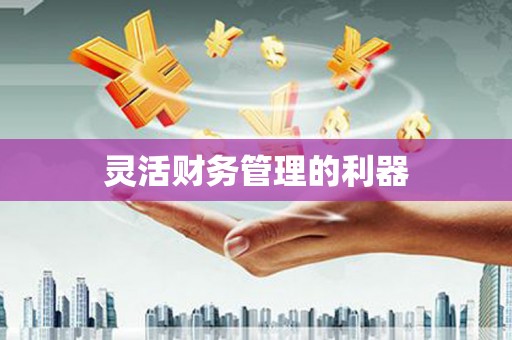 吉县灵活财务管理的利器