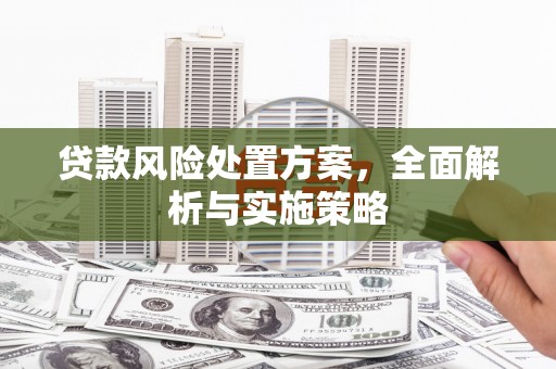 吉县贷款风险处置方案，全面解析与实施策略