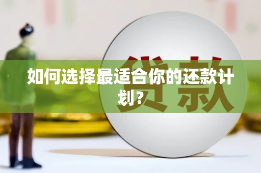 吉县如何选择最适合你的还款计划？